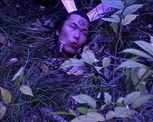 Giao lưu với nghệ sĩ Nhật Meiro Koizumi
